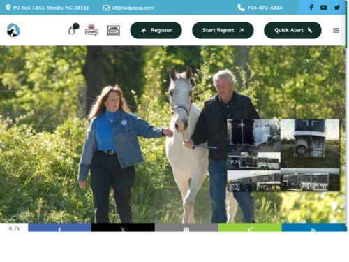 Stolen Horse International
